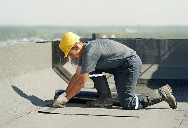 Best Insulation Installation Services in Lakewood Park, FL